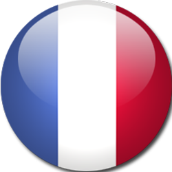 france-flag-icon