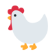 Broiler poultry